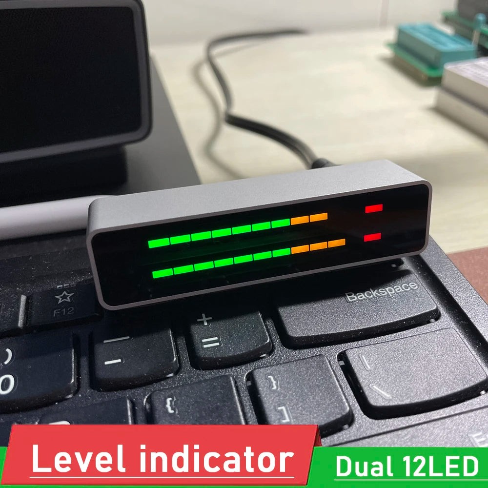 DYKB Level indicator Dual 12 LED Stereo power Amplifier music Spectrum Display VU Meter AGC Mode Light Speed rhythm Analyzer