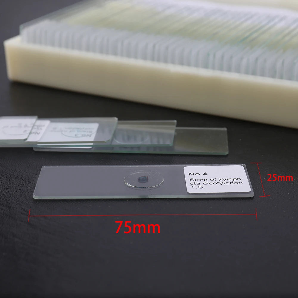 50PCS/Set Portable Educational Microscope Slides Biological Glass Sample Prepared Basic Animal Plants  Specimen Cover Slips