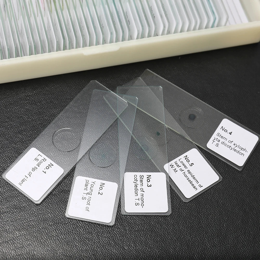 50PCS/Set Portable Educational Microscope Slides Biological Glass Sample Prepared Basic Animal Plants  Specimen Cover Slips