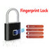 Smart Electronic Fingerprint Lock Password Padlock Zinc Alloy Outdoor Waterproof Household Anti-theft DoorLock