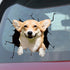 Car Sticker Auto Rear Window Puppy Broken Window Stickers Electrostatic 3D Simulation French Bulldog Car Stickers Vinyl Decals