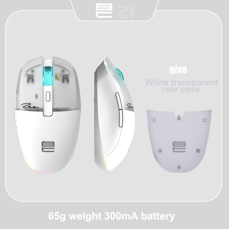 Wireless Mouse RGB Light, PAW3395, TTC Golden Wheel Encoder, Kaihua GM8.0 Black Mamba Micro Motion, 65g Ultra Light