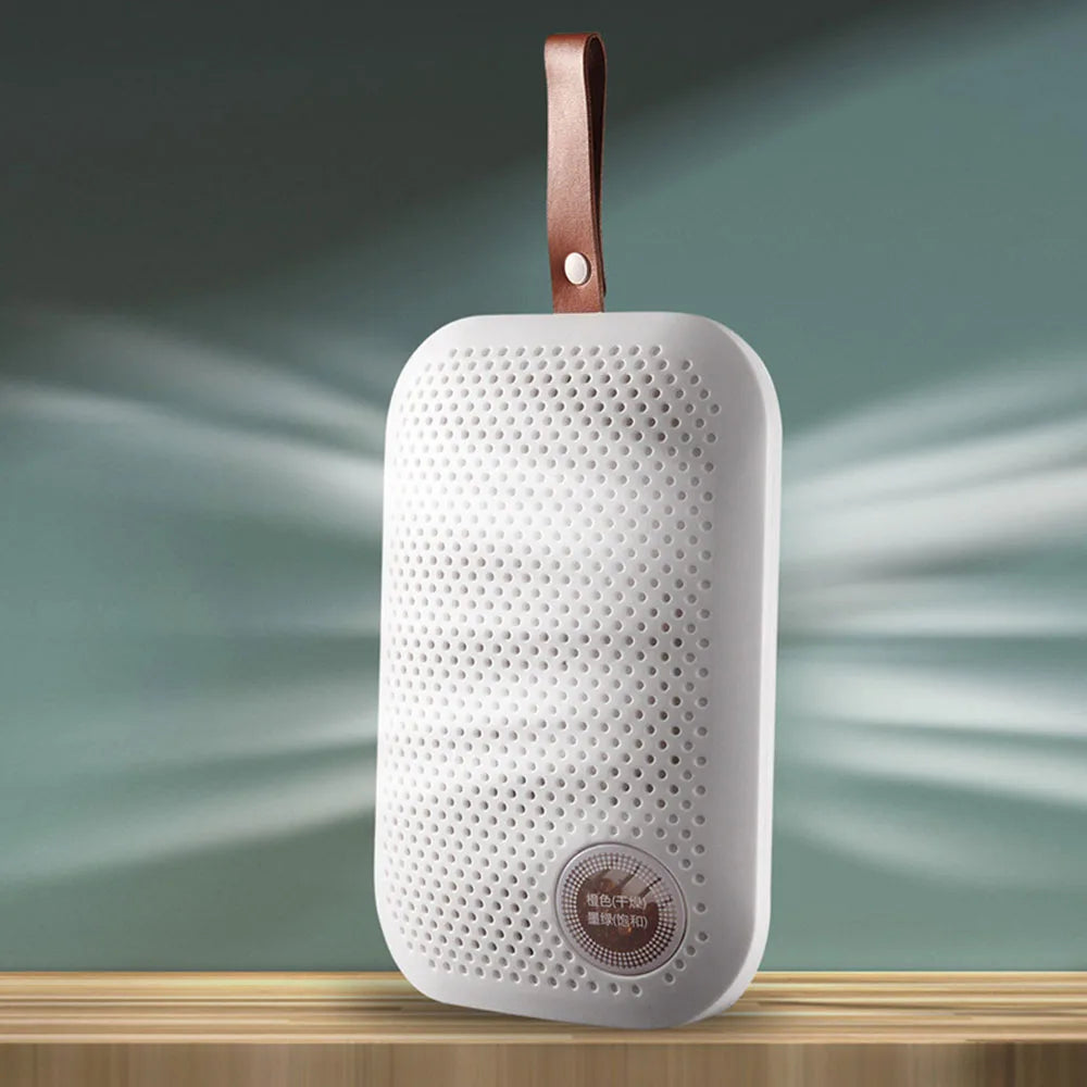 Portable Mini Cycle Silent Home Air Dryer Bedroom Small Moisture Absorber Wardrobe Shoe Cabinet Indoor Dehumidifier Desiccant