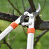 Anti-Slip Long Length Scissor Hedge Anvil Shear Grip Garden Plant Pruning Pruning Hand Tool Ratchet Cut Tree Branch Garden Tools