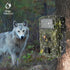 Trail Camera 16MP 1080P Wildlife Scouting Camera with 12M Night Vision Motion Sensor IP66 Waterproof Monitoring Tracking