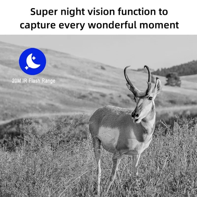 Solar Wildlife Hunting Trail Camera 4g SIM Card 4PM 2 Way Audio 30M Night Vision PIR Motion Detection IP66 Waterproof IP Camera