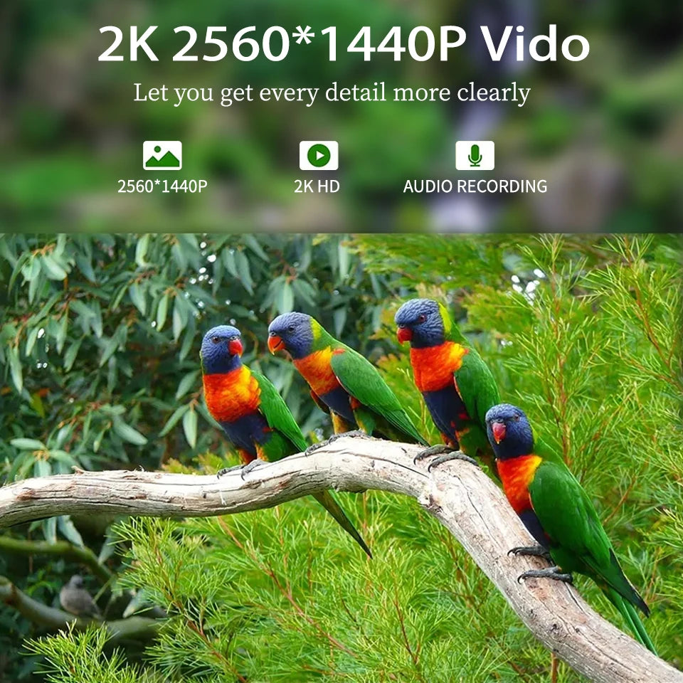 Solar Wildlife Hunting Trail Camera 4g SIM Card 4PM 2 Way Audio 30M Night Vision PIR Motion Detection IP66 Waterproof IP Camera