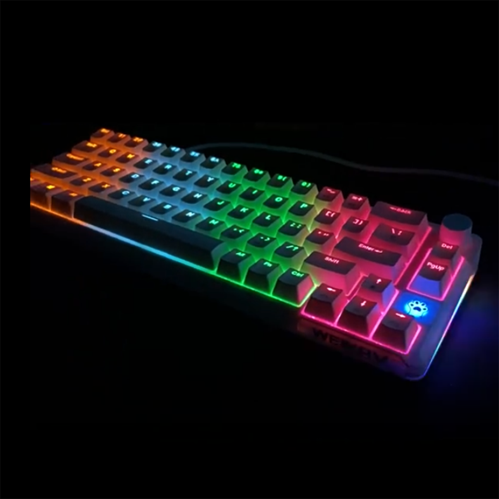 RGB Mechanical Keyboard 61/68 Key Portable Green/red/tea Switch Hot Swappable Wired Computer Laptop Office Game Esports
