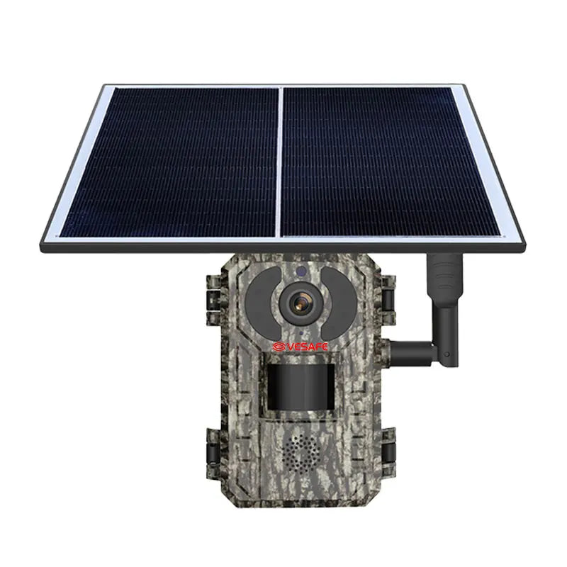 41957608685613|41957608718381