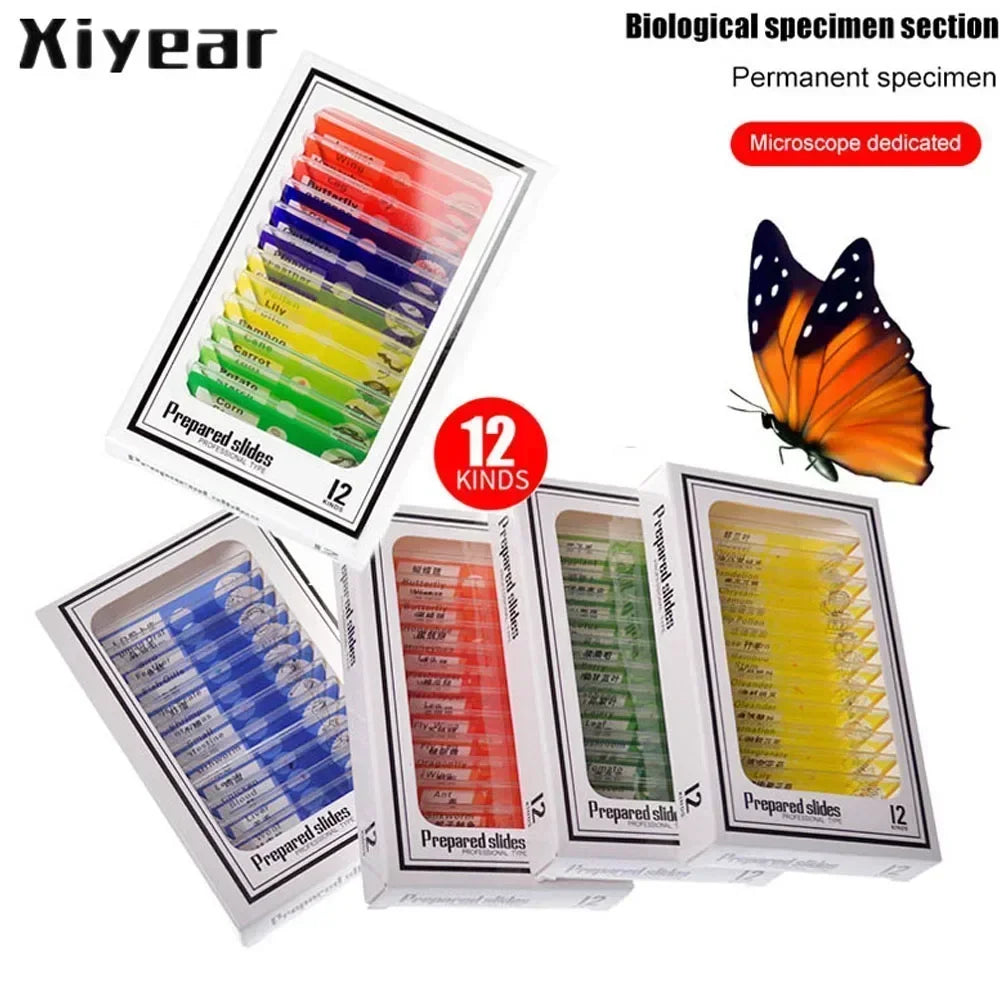 12 Plastic Microscope Slides 4 Boxes Biological Experimental Specimens for Children and Students' Enlightenment Education