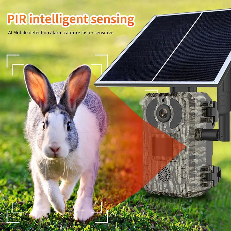 4MP 1440P 4G Solar Power Wildlife Hunting Camera Outdoor Camping Trail Wireless Monitor