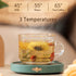 Smart Coffee Cup Warmer with Timer for Office Desk Use Electric Beverage Warmer for Cocoa Tea Water Milk 3 Temperature Settings