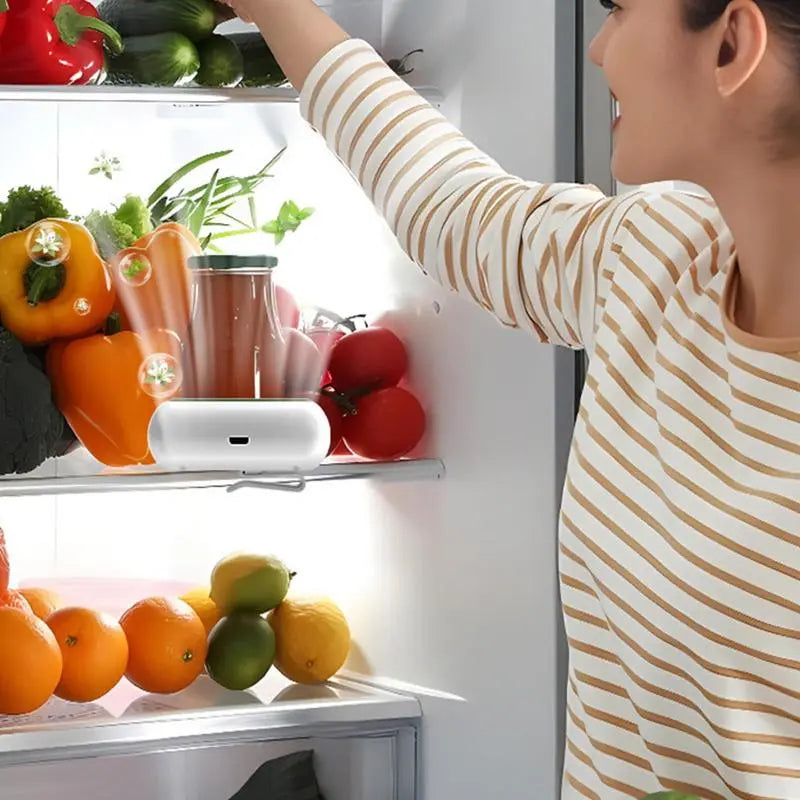 Refrigerator Deodorizer Fridge Smell Remover Eliminator Box Kitchen Freezer Freshener Odor Closet Drawer Air Fresh Purifier Box