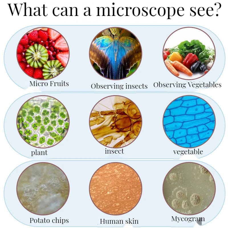 Microscope Professional Optics, Household Children's Science, Junior High School Biology Experiment Toy Set