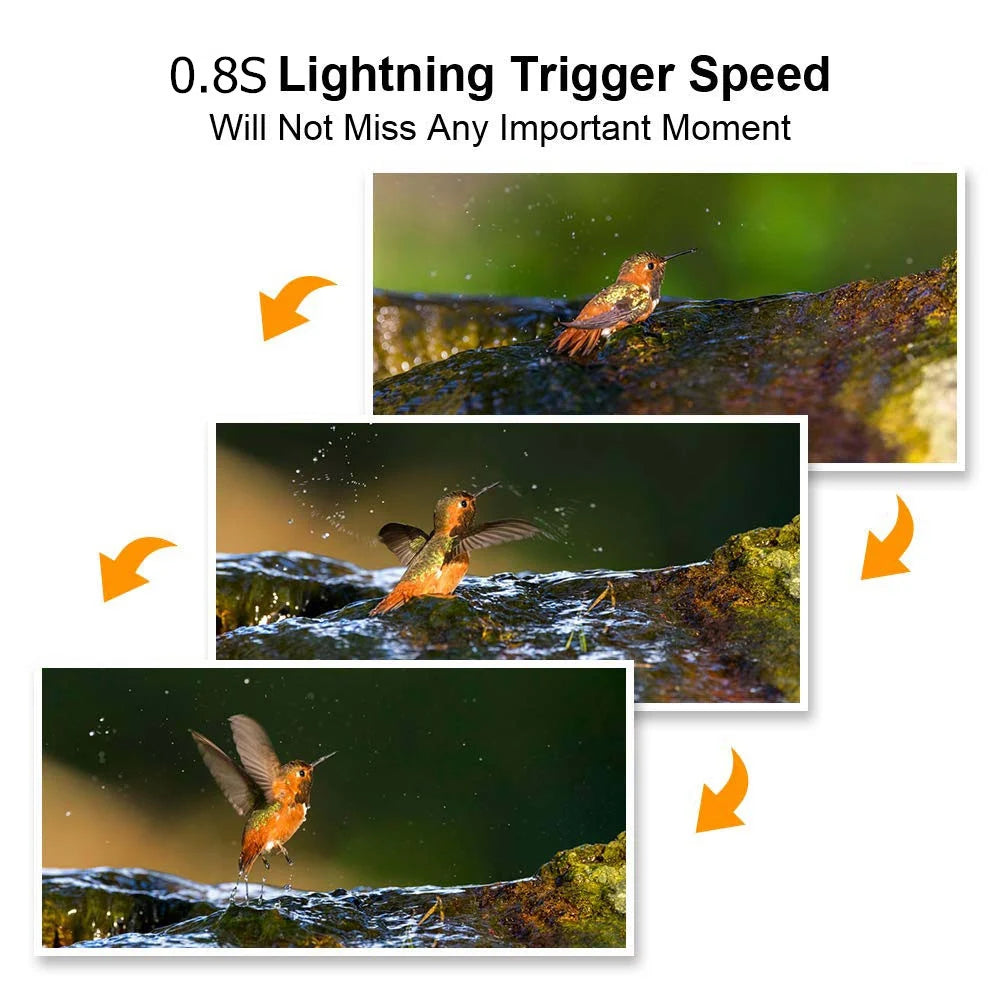 5MP Trail Camera 1080P HD Hunting Camera PIR Infrared Night Vision Waterproof Outdoor Trail Cam for Wildlife Monitoring Action