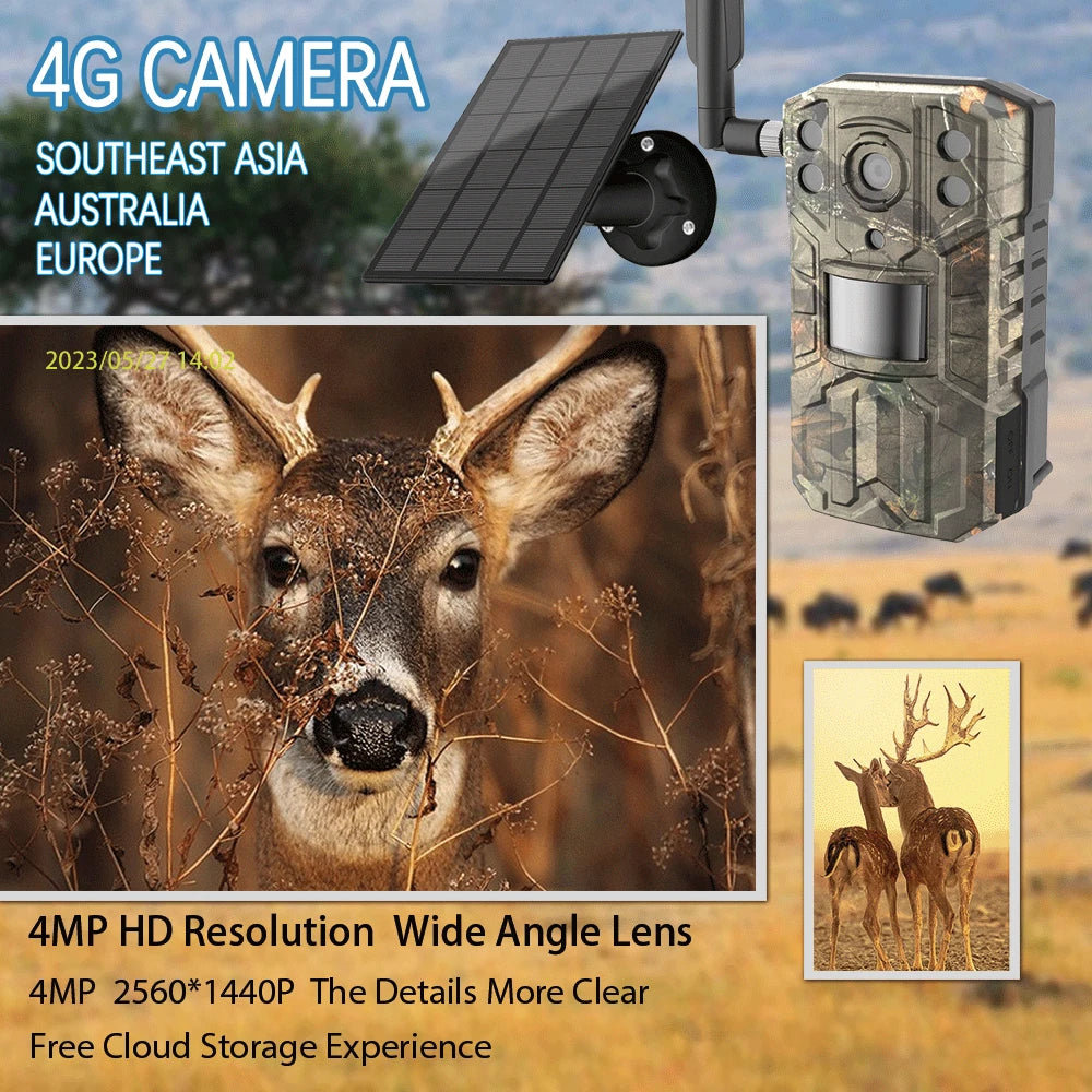 Solar Wildlife Hunting Trail Camera 4g SIM Card 4PM 2 Way Audio 30M Night Vision PIR Motion Detection IP66 Waterproof IP Camera