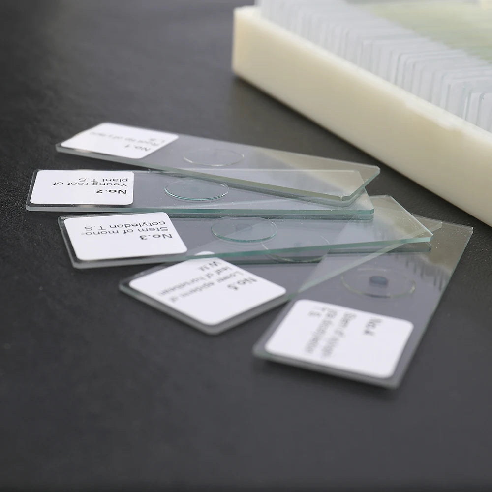 50PCS/Set Portable Educational Microscope Slides Biological Glass Sample Prepared Basic Animal Plants  Specimen Cover Slips