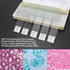 50PCS/Set Portable Educational Microscope Slides Biological Glass Sample Prepared Basic Animal Plants  Specimen Cover Slips