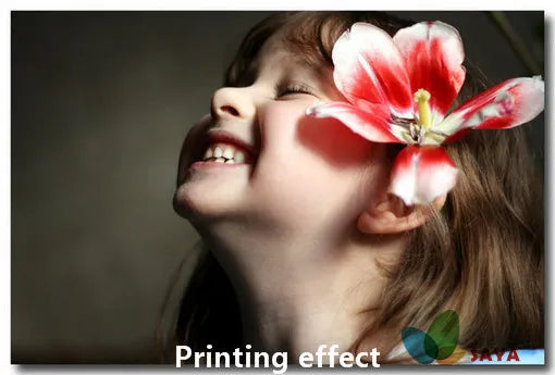 Buy 1 Get 1 FREE ! Universal dye ink for Canon inkjet printers ,cartridge 510 511 581 with refill syringe bulk ink free shipping