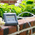 1/2/3PCS Tuya RainPoint WIFI Automatic Water Pump Irrigation System Timer Plant Garden Watering System Irrigation Smart Life App