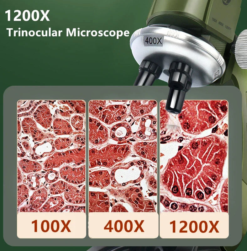 Microscope Kit Lab LED 100X-400X-1200X  Biological Microscope  Home School Science Educational Toy Gift For Kids Child