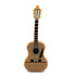 JASTER Music Model USB flash drive Guitar Pen drive Violin Pendrive Cello Memory stick Beth U disk Free key chain 16GB 32GB 64GB