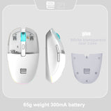 Wireless Mouse RGB Light, PAW3395, TTC Golden Wheel Encoder, Kaihua GM8.0 Black Mamba Micro Motion, 65g Ultra Light
