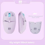 Wireless Mouse RGB Light, PAW3395, TTC Golden Wheel Encoder, Kaihua GM8.0 Black Mamba Micro Motion, 65g Ultra Light