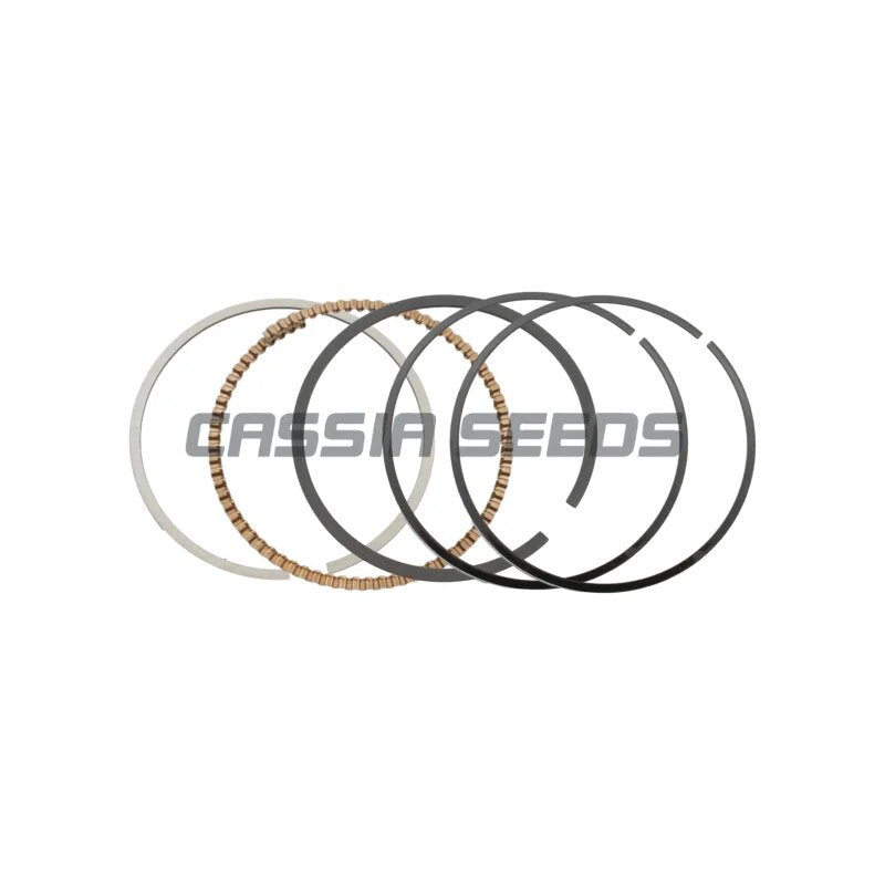 Motorcycle Engine Parts Piston Ring Kit 70mm For Yamaha XT225 TW225E ST225 Mustang TTR230 TT-R230 TW200 BW200