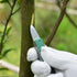 Garden Tools Folding Multi-functional Stainless Steel Budding Tool Grafting Seedling Tree Grafting Double Blade Grafting Knife