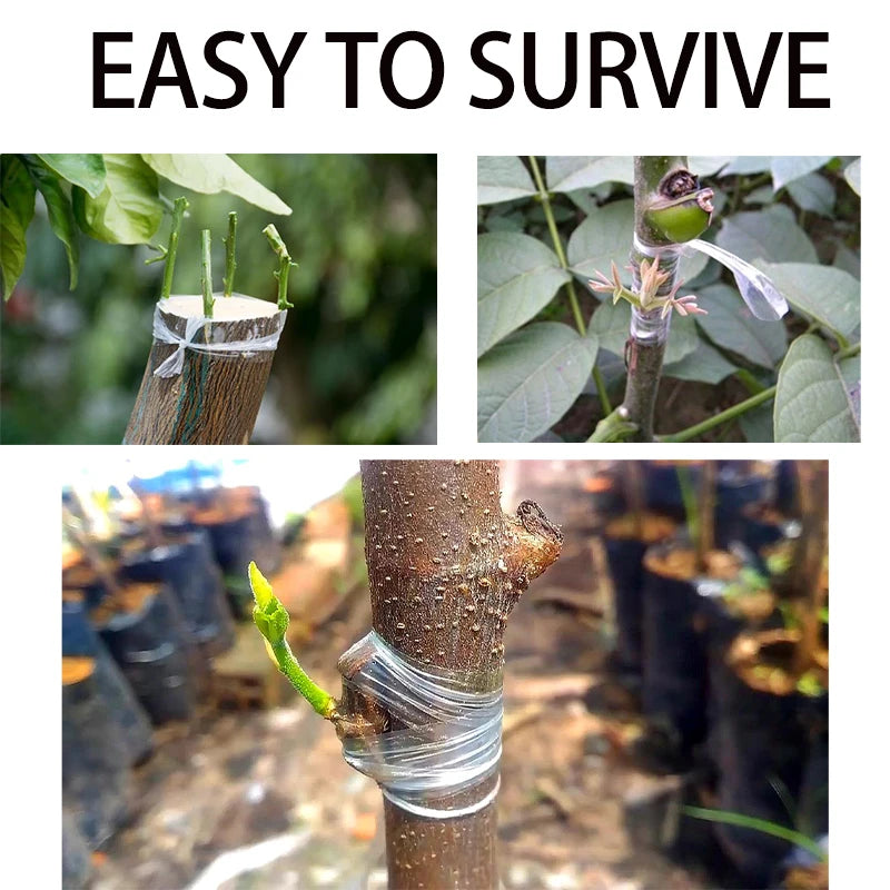 Garden Tools Fruit Tree Secateurs Engraft Branch  Gardening bind belt PVC tie Environmentally  Biodegradab Grafting Tape Drtools