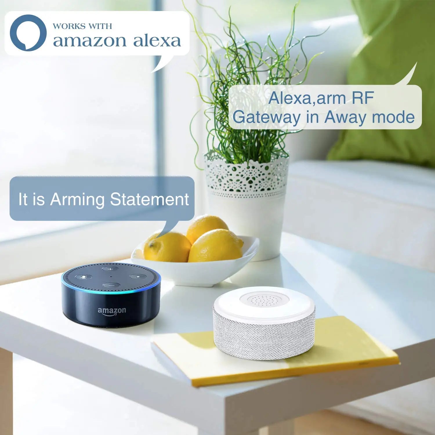Tuya Smart Home Door Window Sensors WiFi Security Alarm System Alexa Google for Kids Apartment Office Store Safety Starter Kit
