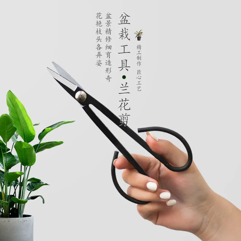 Beginner Bonsai Tool Long Handle Black Scissors Branch Pruning Shears for Arranging Flowers and Trimming Plants Garden Tools