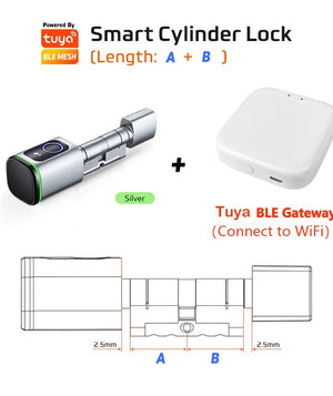 Saudi Euro Tuya TTLock APP Fingerprint RFID Card DIY Cylinder Lock Biometric Electronic Smart Door Lock Digital Keyless Replace