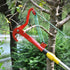 Telescopic Scissors Fruit Picker High-altitude Cutting Branches Pruning Branches Garden Tools