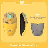 Wireless Mouse RGB Light, PAW3395, TTC Golden Wheel Encoder, Kaihua GM8.0 Black Mamba Micro Motion, 65g Ultra Light
