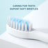 Ultrasonic Electric Toothbrush Sonic Rechargeable for Adults 6 Speed Smart Timer with 4/6/8 Replace Brush Head Travel Box Holder