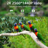 Solar Wildlife Hunting Trail Camera 4g SIM Card 4PM 2 Way Audio 30M Night Vision PIR Motion Detection IP66 Waterproof IP Camera
