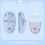 Wireless Mouse RGB Light, PAW3395, TTC Golden Wheel Encoder, Kaihua GM8.0 Black Mamba Micro Motion, 65g Ultra Light