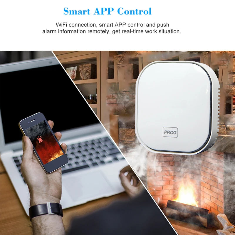 Tuya Smart Life GAS CO Leak Alarm Carbon Monoxide Detector WIFI CH4 Methane Combustible Leakage Coal