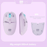 Wireless Mouse RGB Light, PAW3395, TTC Golden Wheel Encoder, Kaihua GM8.0 Black Mamba Micro Motion, 65g Ultra Light