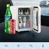 4L Mini Refrigerator 12v 110V 220V Electric Portable Camping Tourist Cooler for Car Cosmetic Makeup Storing Skincare Room Fridge