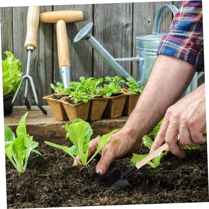 Succulent Tools, Mini Garden Tool Set, Transplanting Tools Set, Succulent Care kit for Succulent Miniature Gardening Juicy Cactu