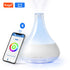 Aroma Diffuser Air Fresh WIFI Smart Graffiti Bluetooth Humidifier Desktop Automatic Essential Oil Fragrance Machine