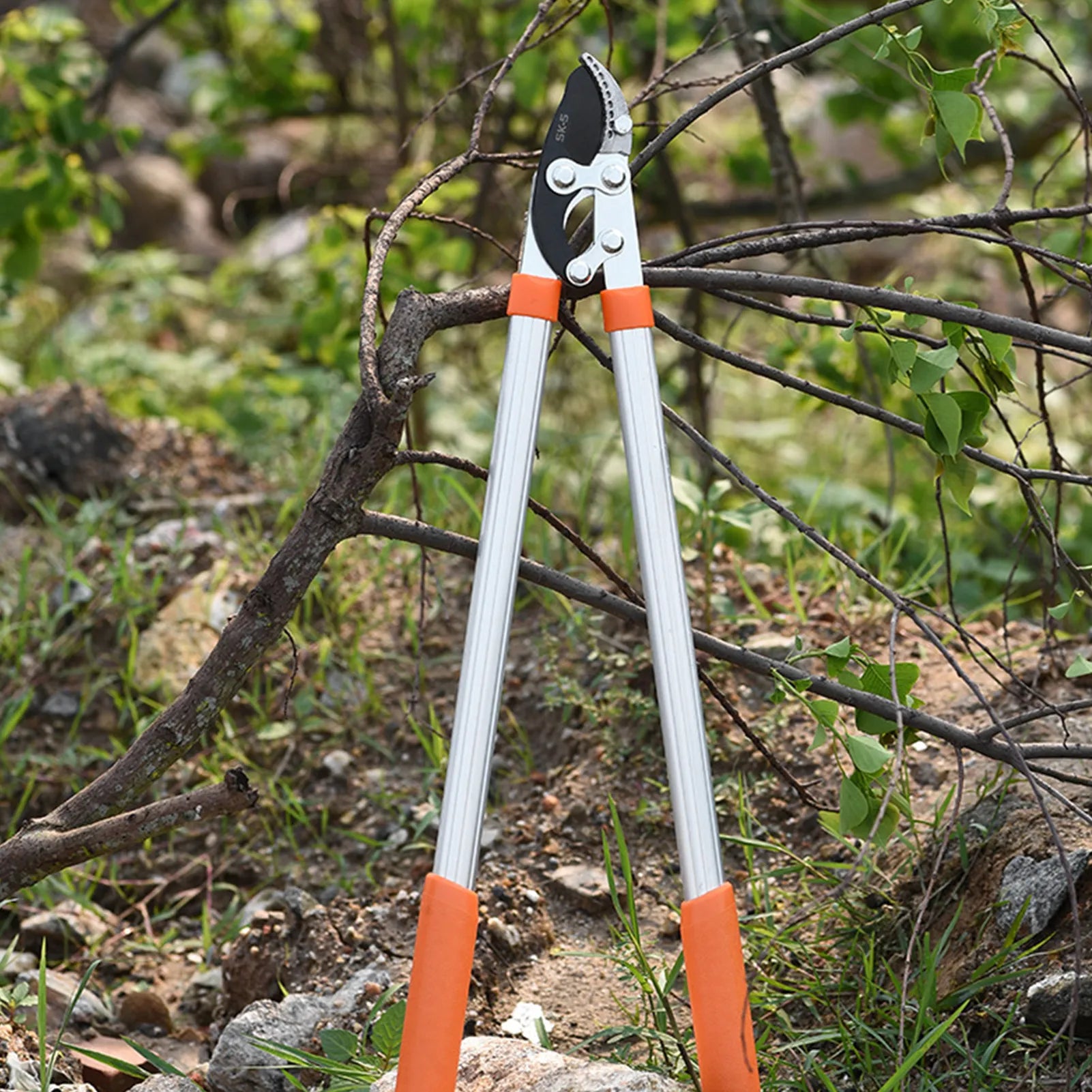Long Length Scissor Hedge Anvil Shear Anti-Slip Grip Garden Pruning Hand Tool Ratchet Cut Tree Branch Garden Tools