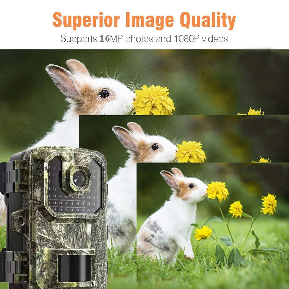 2k Wildlife Trail Camera 16MP Animal Observation Waterproof Wildlife Hunting Surveillance Outdoor Hunting Scouting Camera