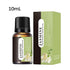10ml Air Diffuser Oils Water-soluble Humidifier Oil Flower Plants Scented Oils For Home Car Office Aromatherapy Scented Oils