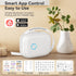 P12 Mini Portable Label Printer Bluetooth Wireless Label Machine P12 Thermal Adhesive Sticker Printer or 3~6PK Label Tape Paper