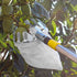 Metal Fruit Picker Orchard Gardening Apple Peach High Tree Picking Tools Fruit Catcher Collector Gardening Toolsgardening tools