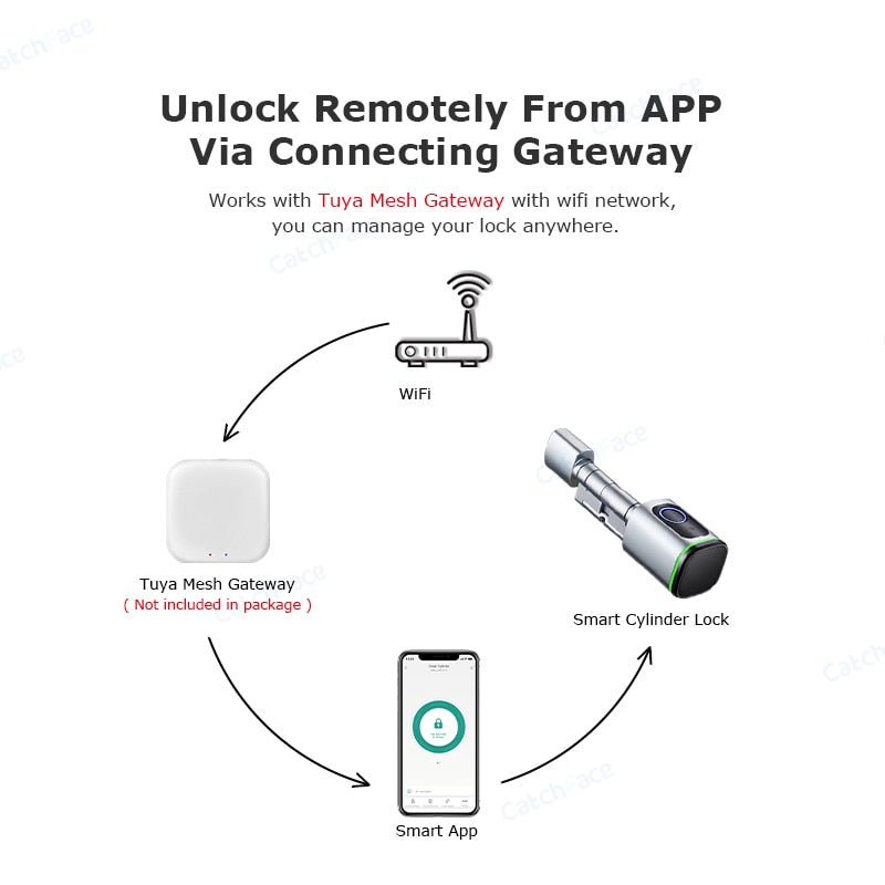 Saudi Euro Tuya TTLock APP Fingerprint RFID Card DIY Cylinder Lock Biometric Electronic Smart Door Lock Digital Keyless Replace